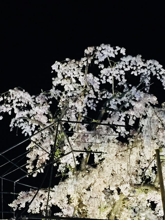 Gallery Nozawa Inn Kyoto Bagian luar foto
